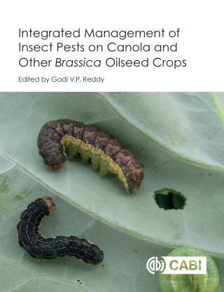 表紙画像: Integrated management of Insect Pests on Canola and other Brassica Oilseed Crops 1st edition 9781780648200