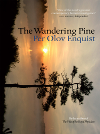 Cover image: The Wandering Pine 9781780870182