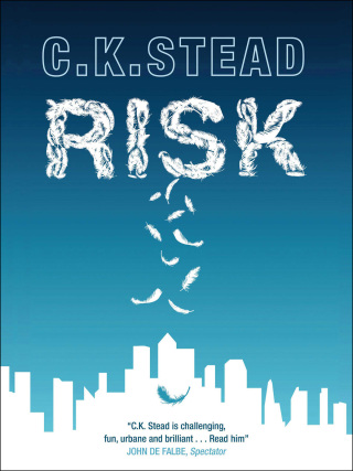 Cover image: Risk 9781780877594