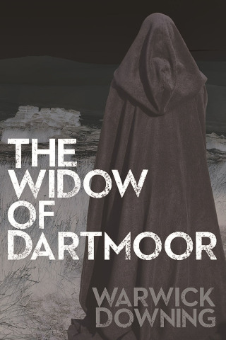 Cover image: The Widow of Dartmoor 1st edition 9781780926018