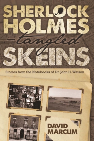 Cover image: Sherlock Holmes - Tangled Skeins 1st edition 9781780927527