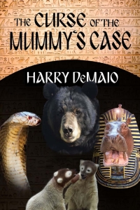 Cover image: The Curse of the Mummy's Case 3rd edition 9781780927701