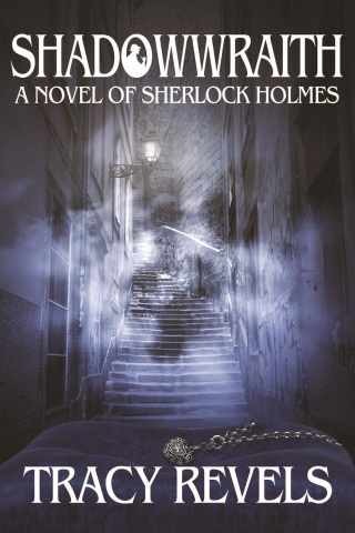 Imagen de portada: Shadowwraith 1st edition 9781780928630