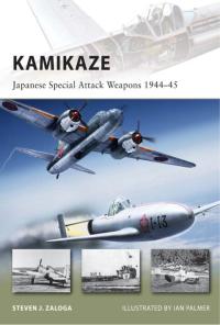 Imagen de portada: Kamikaze 1st edition 9781849083539
