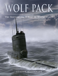 Cover image: Wolf Pack 1st edition 9781846031410