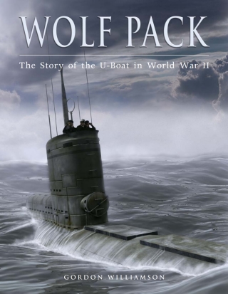 Imagen de portada: Wolf Pack 1st edition 9781846031410