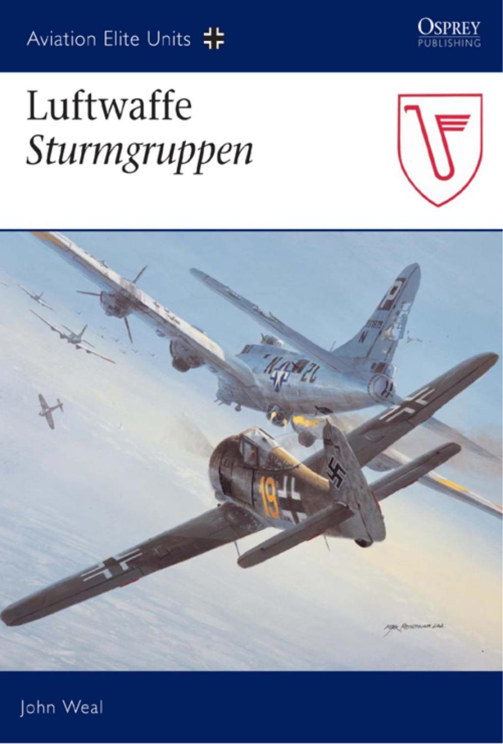 Luftwaffe Sturmgruppen 1st Edition