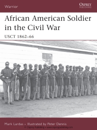Cover image: African American Soldier in the Civil War 1st edition 9781846030925