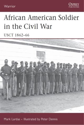 Cover image: African American Soldier in the Civil War 1st edition 9781846030925