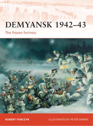 Titelbild: Demyansk 1942–43 1st edition 9781849085526