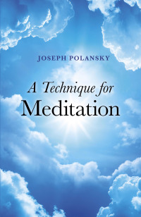 صورة الغلاف: A Technique for Meditation 9781846944123