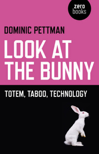 Cover image: Look at the Bunny 9781780991399