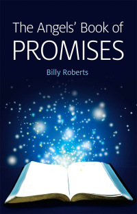 Cover image: The Angels' Book of Promises 9781780991627
