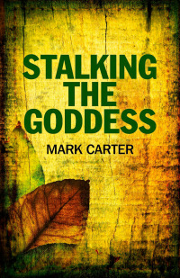 Cover image: Stalking the Goddess 9781780991733