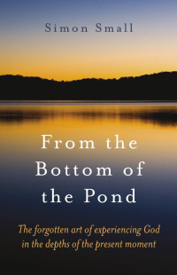 صورة الغلاف: From the Bottom of the Pond 9781846940668