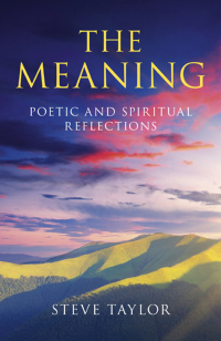 Cover image: The Meaning 9781780993034