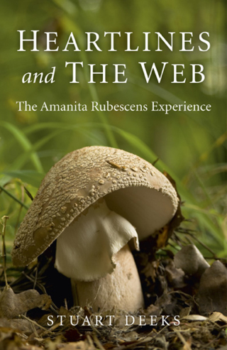 Cover image: Heartlines and The Web 9781780993287