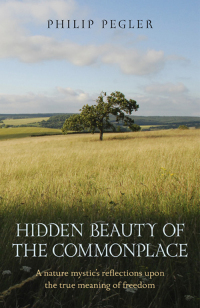 Cover image: Hidden Beauty of the Commonplace 9781780993379