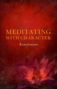 Cover image: Meditating with Character 9781846945069