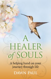 Omslagafbeelding: A Healer of Souls 9781780993553