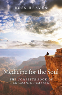 Cover image: Medicine for the Soul 9781780994192