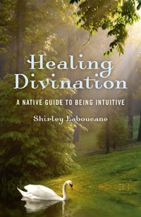 Titelbild: Healing Divination 9781780994598
