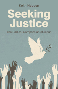 Imagen de portada: Seeking Justice 9781780996882