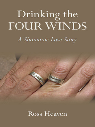 Imagen de portada: Drinking the Four Winds 9781780995380