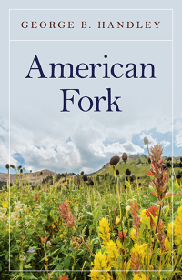 Immagine di copertina: American Fork 9781780992709