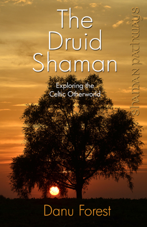 Shaman Pathways - The Druid Shaman: Exploring the Celtic Otherworld - FULL INSTANT DOWNLOAD | PDF DOCX EPUB