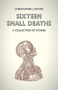 Cover image: Sixteen Small Deaths: A Collection of Stories 9781780996844