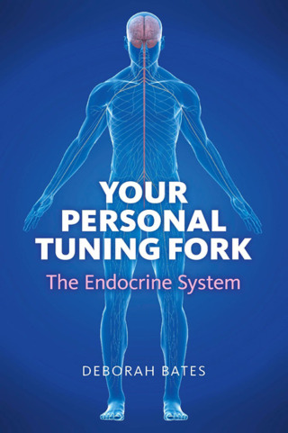 Immagine di copertina: Your Personal Tuning Fork 9781846945038