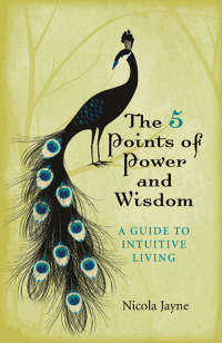 Omslagafbeelding: The 5 Points of Power and Wisdom 9781780997018