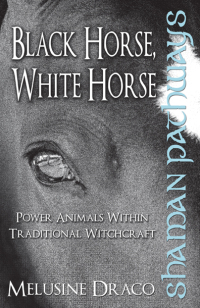 Cover image: Shaman Pathways - Black Horse, White Horse 9781780997476