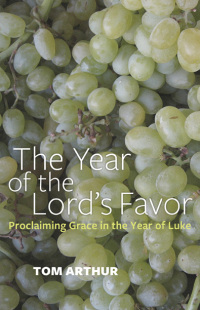 Omslagafbeelding: The Year of the Lord's Favor 9781780997551