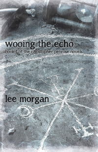 Imagen de portada: Wooing the Echo 9781780998961