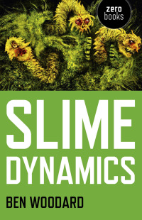 Imagen de portada: Slime Dynamics 9781780992488