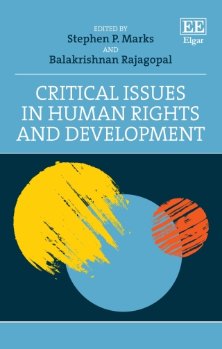 صورة الغلاف: Critical Issues in Human Rights and Development 1st edition 9781781005965