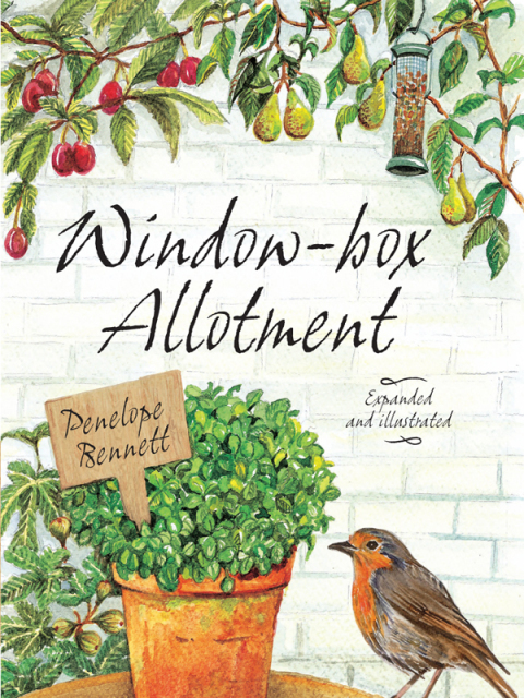 Window-box Allotment - FULL INSTANT DOWNLOAD | PDF DOCX EPUB