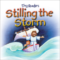 Cover image: Stilling The Storm 9781859859179