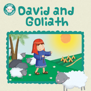 Cover image: David and Goliath 1st edition 9780745978529