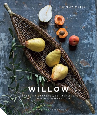 Imagen de portada: Willow 9781911127710