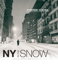 Cover image: New York In The Snow 9781781575253
