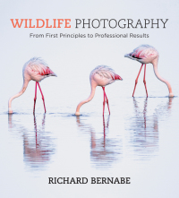 Cover image: Wildlife Photography 9781781575123