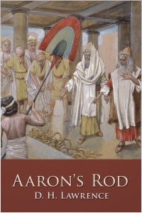 Cover image: Aaron's Rod 2nd edition 9781781663295