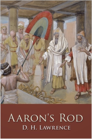 صورة الغلاف: Aaron's Rod 2nd edition 9781781663295