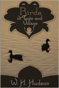 Omslagafbeelding: Birds in Town and Village 1st edition 9781782345282
