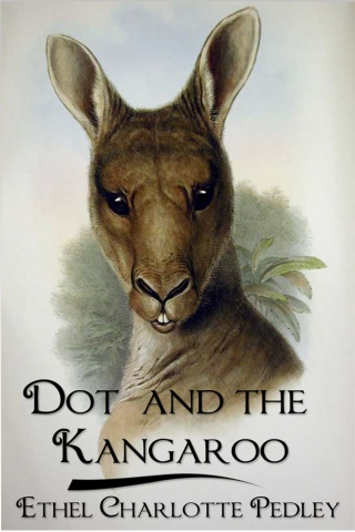 Immagine di copertina: Dot and the Kangaroo 3rd edition 9781781664674