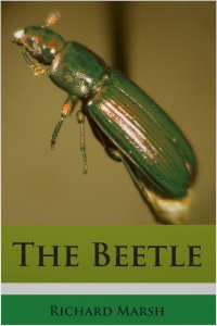 Cover image: The Beetle 1st edition 9781781668085