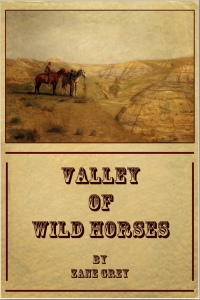 Imagen de portada: Valley of Wild Horses 1st edition 9781781669983